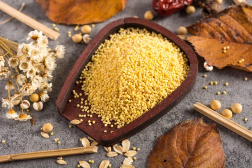 Is Barley Considered as Millet​?