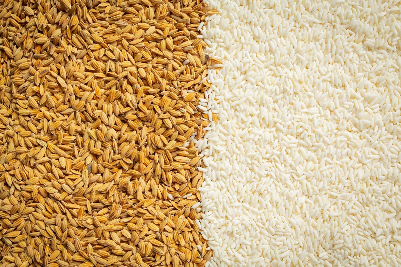 Polished Rice vs. Unpolished Ric