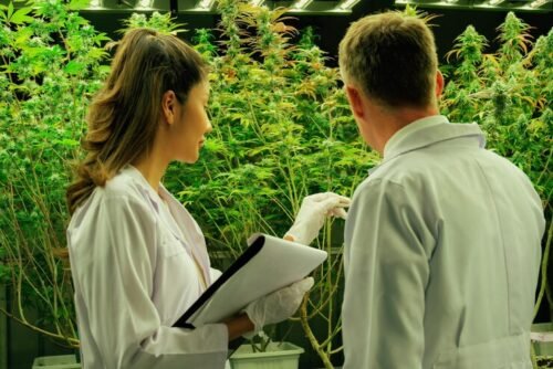 How to Choose Reliable Agrochemical Suppliers