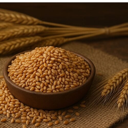what is Lokwan Wheat and its Health benefits